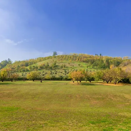 Bed & Breakfast Ca' Malvasia - Bolognarooms Montecchio (Tuscany)